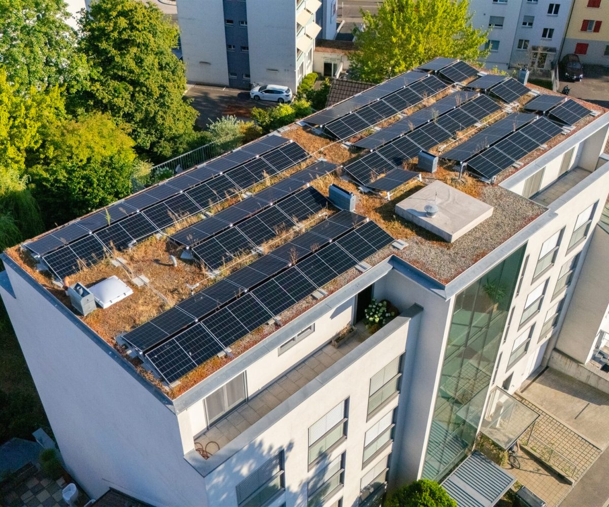 Rei Solar Solar Anlage